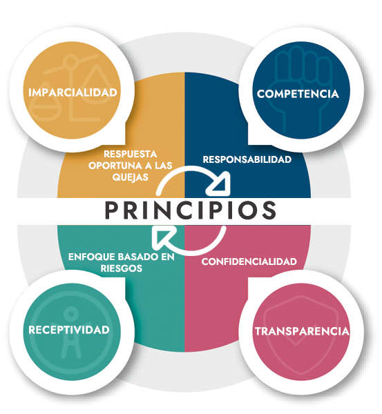 principios